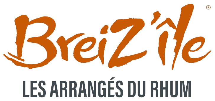 logo breiz ile removebg preview